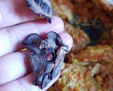 A picture of step 3 of Chicken in Red Chilli Sauce.