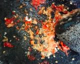 Foto langkah ke 3 dari resep Tumis kacang panjang tempe gembus.