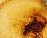 A picture of step 2 of Nutri kulcha.