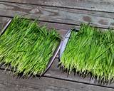 Garlic Chive He Zi (pockets) made from Spelt recipe step 1 photo