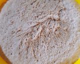 Foto del paso 3 de la receta: Pan Integral 💯% #fácil #rapido #delicioso# #esponjoso.😜🙂🤗