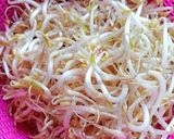 Foto langkah ke 2 dari resep Tumis kecambah tempe gembos.