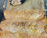 Foto del paso 7 de la receta: Canelones de verduras apto diabéticos