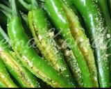 A picture of step 1 of Chilli Lemon Pickle (Raita Mirchi).