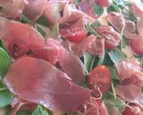 Foto del paso 4 de la receta: Pizzas caseritas