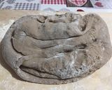 Foto del passaggio 2 della ricetta Ciambelline al vino