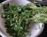 मेथी पराठा (methi paratha recipe in Hindi) रेसिपी चरण 1 फोटो