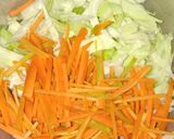 Foto langkah ke 1 dari resep Bakwan sayur a.k.a Pia Pia.