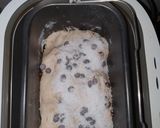 Foto del paso 3 de la receta Pan de leche con🍇 pasas, pepitas de 🍫y coco (en panificadora)