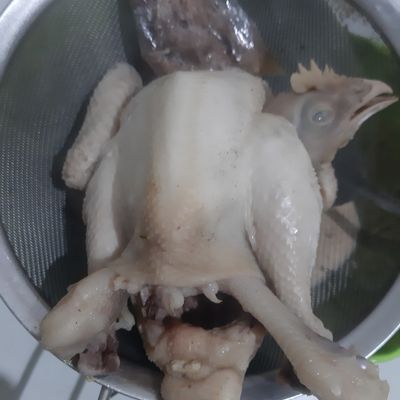 Langkah 1