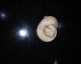 Alkaki recipe step 7 photo