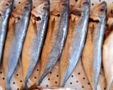 Foto langkah ke 1 dari resep Ikan dencis sarden home made.