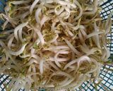 Foto langkah ke 2 dari resep Tumis tauge jagung "saos tiram".