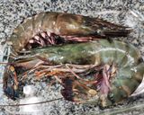 รูปขั้นตอนการทำที่ 1 ของ กุ้งลายเสือนึ่งกระเทียม