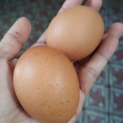 Langkah 1
