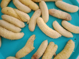 Pisang ijo khas Makassar