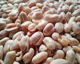 Foto langkah ke 7 dari resep Kacang Bawang Oven (tanpa minyak) 🌰🌰🌰.
