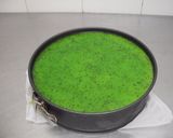 Foto del paso 9 de la receta: Tarta fría de guanábana y kiwi