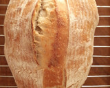 Foto del paso 10 de la receta: Proyecto "Masa madre" ¿Quién se suma? 🥖🍞