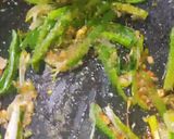 A picture of step 9 of Mongolian Chicken.
