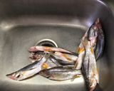 Foto del paso 1 de la receta: Pescados constantin al disco al estilo Sonorense
