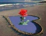 صورة لخطوة 2 من وصفة السلطه العاديه