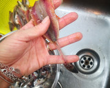 Foto del paso 4 de la receta: Anchoas en salazón