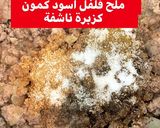 صورة لخطوة 3 من وصفة الشيخ المحشي