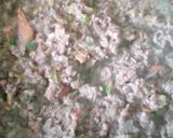 Foto del paso 2 de la receta: Tortilla de atún a la Fidelina