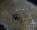 A picture of step 1 of Soya Shammi Kebab.
