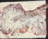 Foto del paso 1 de la receta: Matambre a la pizza