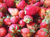 Mermelada de fresa 🍓