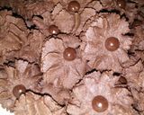 Foto langkah ke 5 dari resep Semprit Coklat.
