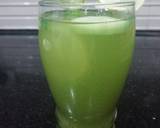 Coriander and Cucumber Juice recipe step 5 photo