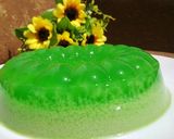 Foto langkah ke 4 dari resep Puding Lumut.