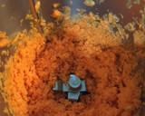 Foto del paso 2 de la receta: Tarta de zanahoria thermomix - la mejor carrot cake!!