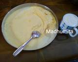 Besan (Chickpea flour) Idli Dhokla recipe step 1 photo