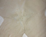 Foto del paso 3 de la receta: Orejas