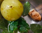 आवळापेय (amla juice recipe in marathi) रेसिपी स्टेप 1 फोटो 