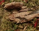 Foto langkah ke 2 dari resep Tumis Bunga Pepaya.