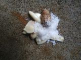 Stik Bawang