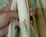 Foto langkah ke 1 dari resep Gulai Terubuk (Tebu Telur).