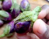 A picture of step 4 of Thorny Baby Eggplant Curry.