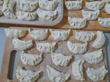 Gyoza ravioli cinesi con ripieno di pollo e zucchine