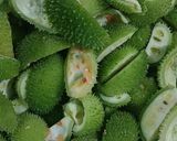 A picture of step 3 of Spiny gourd dry sabji / ककोड़ा फ्राई/ kantola recipe.