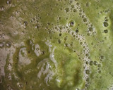Foto del paso 2 de la receta: Crema de Calabaza