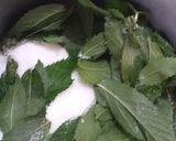 Foto del passaggio 2 della ricetta Sciroppo di menta fresca