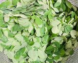 Hình bước làm 1 của món Canh Rau Chùm Ngây Nấu Tôm