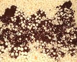 Foto del paso 2 de la receta: Barrita cereal (sin tacc)