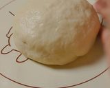 Foto langkah ke 4 dari resep Bakpao Isi Kacang Hijau (no mixer).